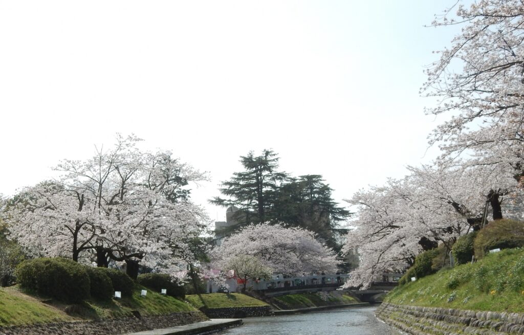 富山城址公園