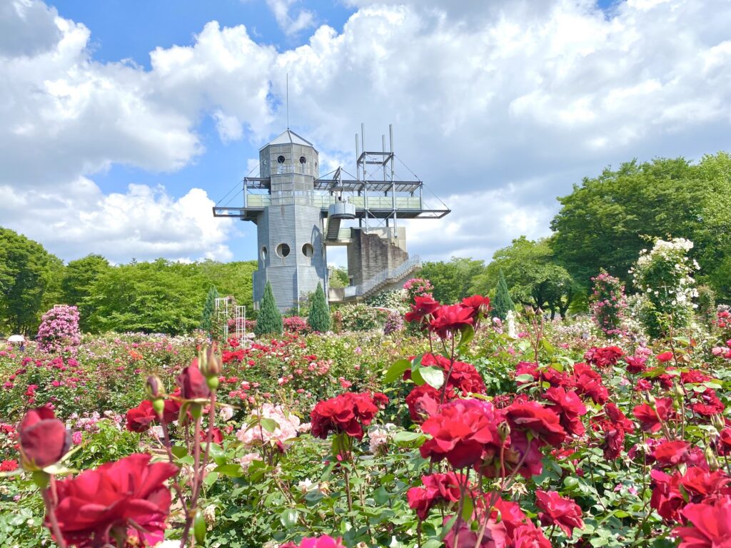 熊本県農業公園カントリーパーク