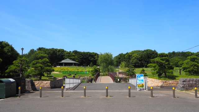 東京都江戸川区のホームページ制作会社・葛西臨海公園