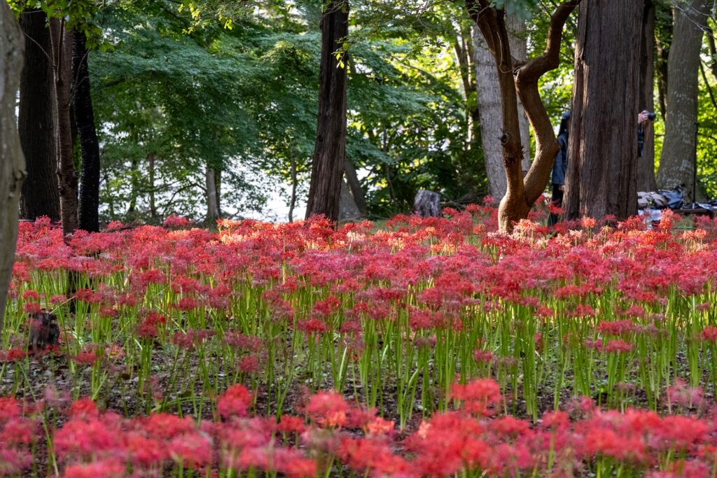 村上緑地公園