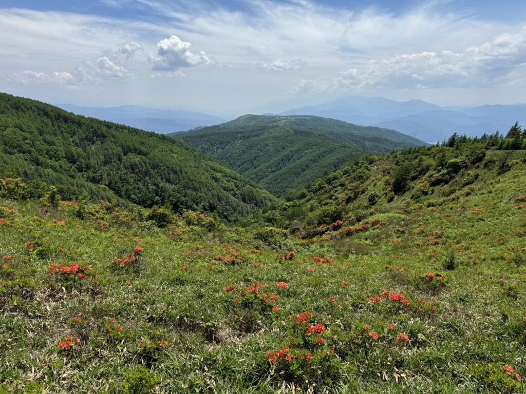 鉢伏山