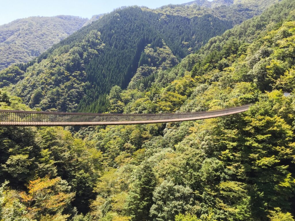 梅の木轟公園吊橋